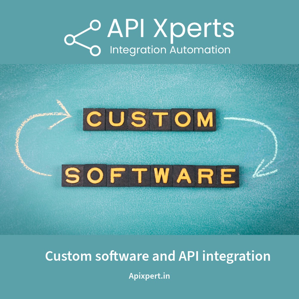 Custom software and API integration 